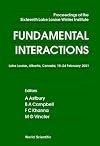 Fundamental Interactions