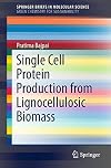 Single Cell Protein Production from Lignocellulosic Biomass