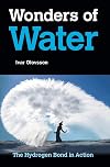 Wonders of Water: The Hydrogen Bond in Action