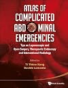 Atlas of Complicated Abdominal Emergencies : Tips on Laparoscopic and Open Surgery, Therapeutic Endoscopy and Interventional Radiology (with DVD-ROM)