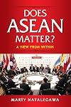 Does ASEAN Matter?: A View from Within
