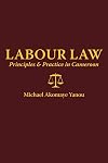 Labour law principles & practice in Cameroon