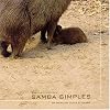 Samba Simples