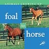 Foal to Horse (Discovery Library: Animals Growing Up)