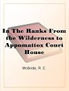 In The Ranks: From the Wilderness to Appomattox Court House The War, as Seen and Experienced by a Private Soldier in the Army of the Potomac