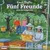 Fünf Freunde (090) retten die Honigbienen