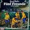Fünf Freunde (094) und die Sturmflut