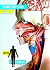 Body of Evidence: The Digestive System