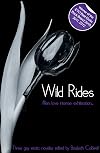 Wild Rides - Three erotic gay novellas