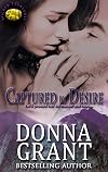 Captured by Desire (Wicked Treasures, #3)