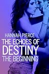 The Echoes of Destiny - The Beginning (The Echoes Of Destiny, Book One)
