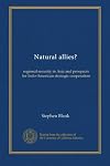 Natural allies? : regional security in Asia and prospects for Indo-American strategic cooperation