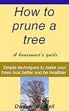 How To Prune A Landscape Tree - A Homeowner's Guide