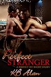 Perfect Stranger (Perfect Fit, #2.5)
