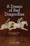 A Dream of Red Dragonflies: A Strange Tale of China, the World — and a Third Place