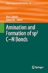 Amination and formation of sp2 C-N bonds