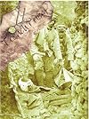 Trench Priest: Life of Father William Doyle SJ