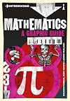 Introducing Mathematics: A Graphic Guide (Graphic Guides)