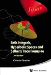 Path Integrals, Hyperbolic Spaces and Selberg Trace Formulae