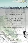 Violencia juvenil y acceso a la justicia. Tomo I. América Latina Tomo II México