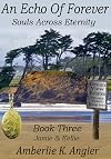 An Echo Of Forever: Jamie and Kellie, Book Three (Souls Across Eternity 3)