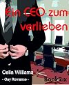 Ein CEO zum Verlieben: Gay Romance (Gaylaxy-Reihe 2)