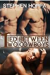 Tied Between Two Cowboys