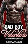 Bad Boy Valentine (The Hard and Dirty Holidays, #2)