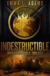 Indestructible