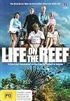Life on the Reef