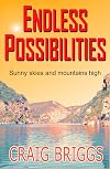 Endless Possibilities: Sunny skies and mountains high (The Journey #3)
