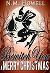 Bewitch You a Merry Christmas: A Brimstone Bay Mystery (Brimstone Bay Mysteries Book 3)