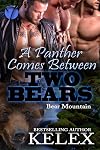 A Panther Comes Between Two Bears