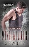 Misdemeanor (Responsible Adult, #1)