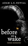 Before You Wake