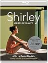 Shirley - Der Maler Edward Hopper in 13 Bildern (Shirley - Visions of reality)