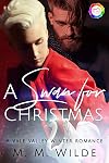 A Swan for Christmas (Vale Valley Season One, #4)