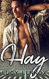 Hay: A Made Marian Short