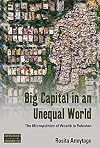 Big Capital in an Unequal World: The Micropolitics of Wealth in Pakistan (Dislocations Book 29)