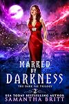 Marked by Darkness (The Dark Fae Trilogy, #2)