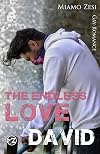 David: The endless love (German Edition)