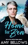 A Home for Ben (Alaskan Pebble Gifters, #3)