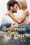 Because of You (Lancaster Falls Book 2)