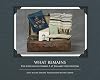 What Remains: The Suitcases of Charles F. at Willard State Hospital (Excelsior Editions)