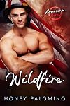 Wildfire: American Heroes (Book Six)