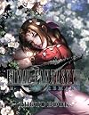 Final Fantasy Vii Remake Photo Book: Final Fantasy Vii Remake Collection Image Pages Book Books For Adult And Kid