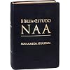 Bíblia de Estudo NAA: Capa em couro legítimo. Nova Almeida Atualizada (NAA)