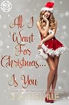 All I Want For Christmas....Is You: Forever Safe: The Twelve Days of Christmas