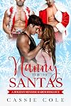 Nanny for the Santas
