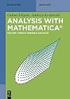 Single Variable Calculus (De Gruyter Textbook)
